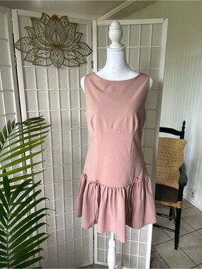 🌸✨ NWT Seni & Cade Blush Pink Ruffle Hem Mini Dress | Size Large